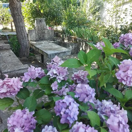 Villa Полдома С Летней Кухней, Барбекю И Садом 