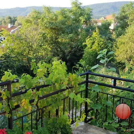 Полдома С Летней Кухней, Барбекю И Садом 